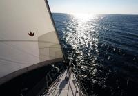 sailing yacht horizon genoa roll bow sea sun